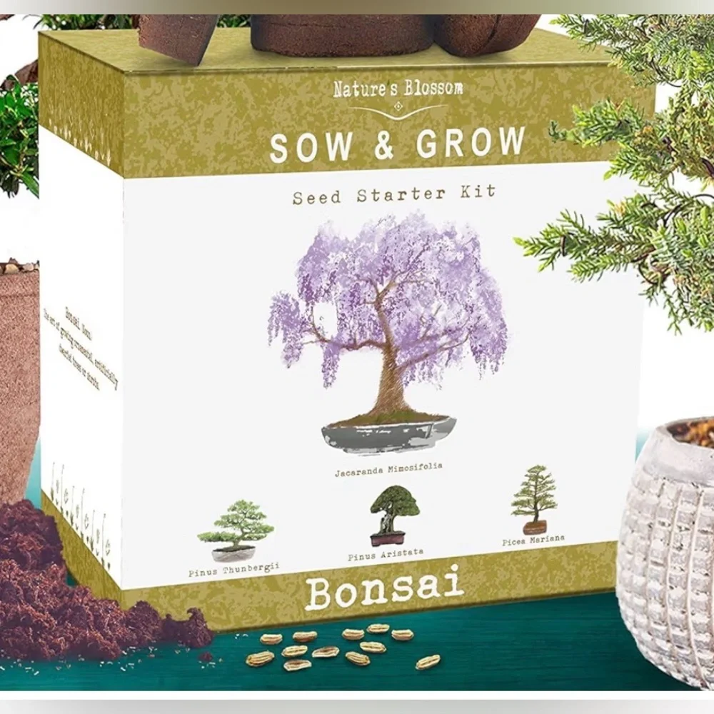 Bonsai Seed Starter Kit - Green and Purple NWT. Amazing last minute gift! - Picture 1 of 8